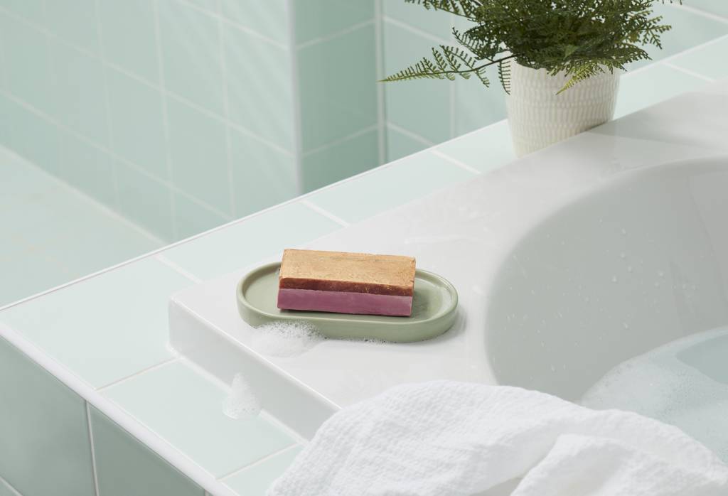 The Goose's Golden Egg - None