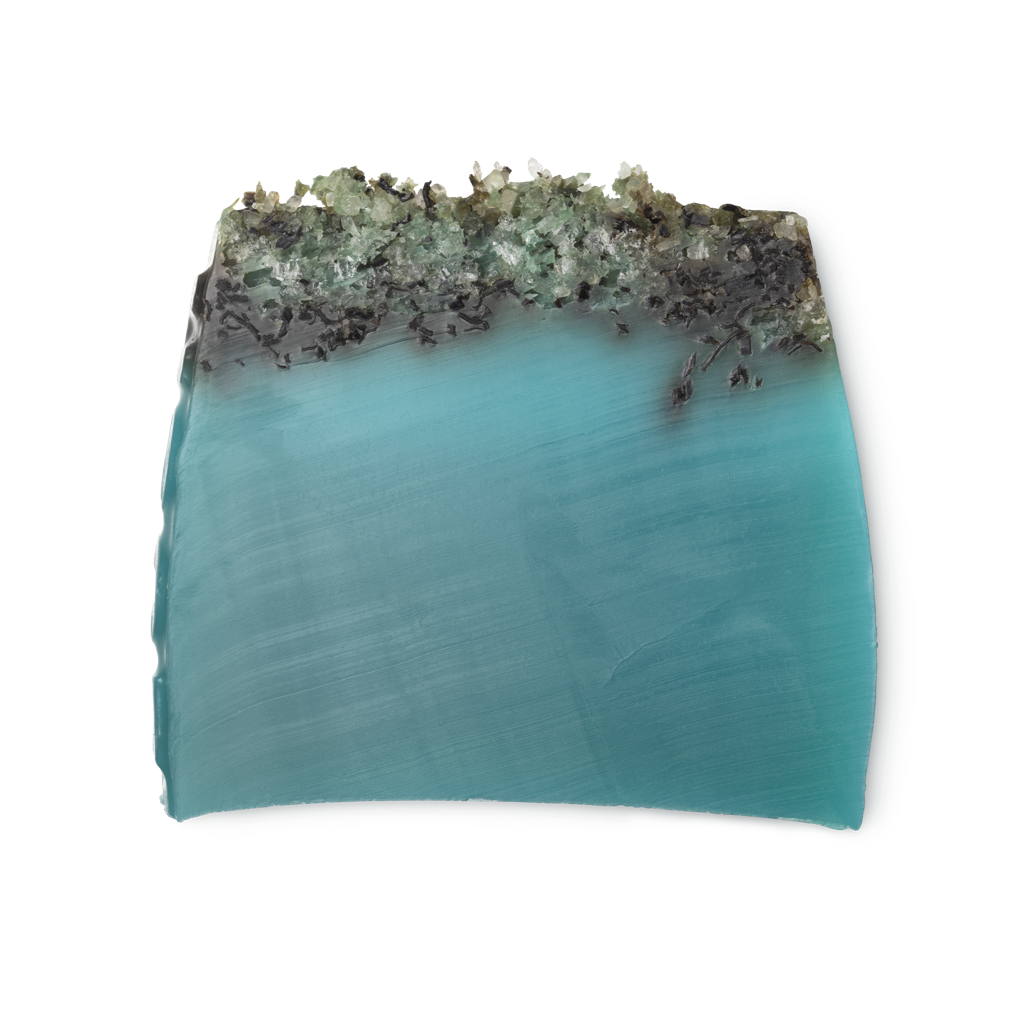 Sea Vegetable - 100g