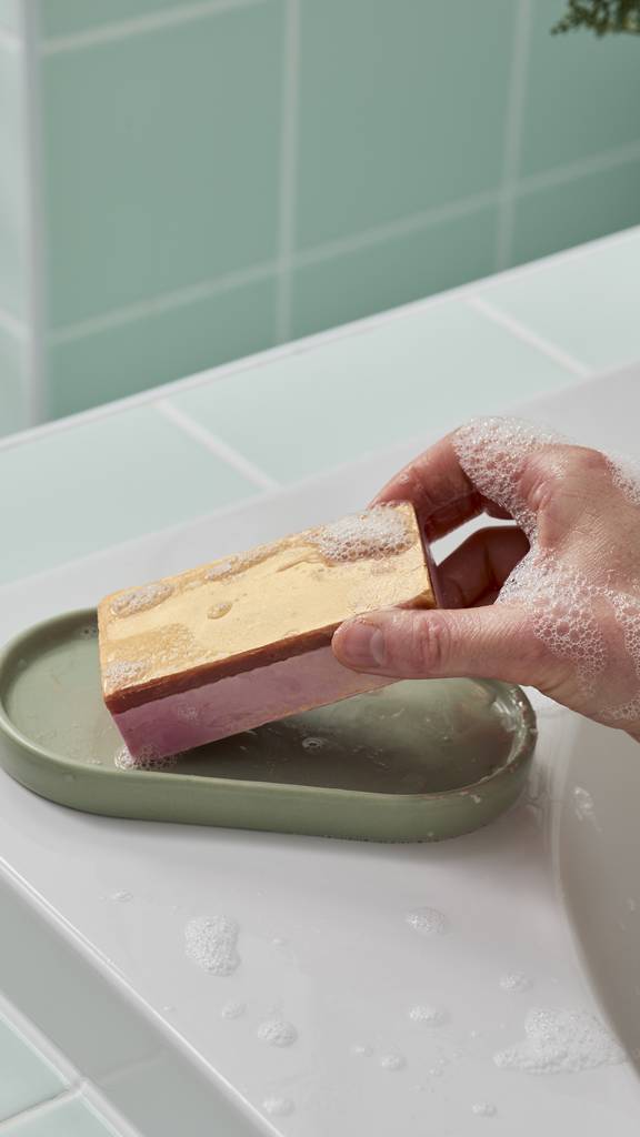 The Goose's Golden Egg - None